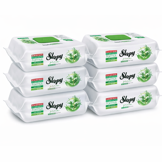 6x Sleepy Reinigungstücher - Frische Kiefer